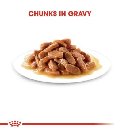 ROYAL CANIN Kitten in Gravy Wet Food 85g (Pack of 48) * Multipack * Meat 48 count (Pack of 1) - Buy Online on GoSupps.com