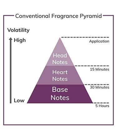 Beyonce Midnight Heat By Beyonce Eau De Parfum Spray 3.4 Oz 3.4 Fl Oz (Pack of 1) - Buy Online on GoSupps.com