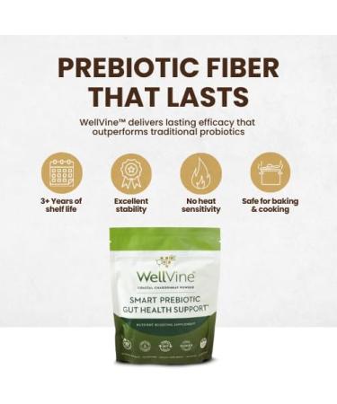 WellVine Premium Smart Prebiotic Gut Health Supplement Powder for Men & Women | Digestive Support & Gut Health With 100% Upcycled Chardonnay Grapes | Plant-Based Gluten and Allergen-Free | 4.75Oz - Buy Online on GoSupps.com