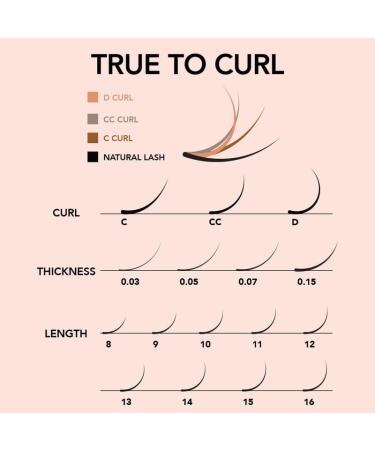 Buy KIARA SKY LASH Premium Cashmere Easy Fan Lash Extensions - Soft Semi-Matte Finish | Professional Use | Black C-0.05 14MM - Buy Online on GoSupps.com