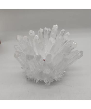 Home Decor 1pcs Natural Raw Quartz White Clear Crystal Cluster Stones Crystal Point Specimen Home Decoration Raw Crystals Gifts Natural Crystal (Size : 700-800g) Crystal Cluster (Size : 300-400g) - Buy Online on GoSupps.com
