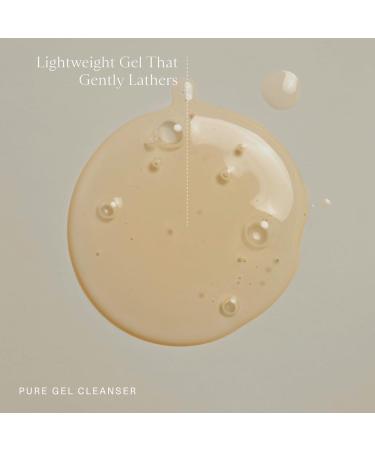 Oak Essentials Pure Gel Cleanser | Clarifying Gel Face Wash with Aloe and Amino Acids | Removes Dirt & Oil Without Drying 5 Fl Oz - Buy Online on GoSupps.com