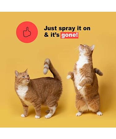 Urine Gone Pet Stain Remover & Odor Eliminator - Heavy Duty Carpet Cleaner - Enzyme Fabric Spray for Dog & Cat - 24 Fl Oz - Buy Online on GoSupps.com