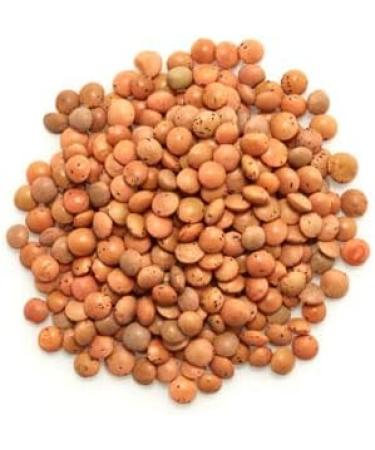 Yupik Organic Brown Lentils 1kg Non-GMO Vegan Gluten-Free Kosher Raw Salt-Free High in Fiber & Protein Ideal for Soups Salads & Meat Alternatives 1 kg (Pack of 1) - Buy Online on GoSupps.com