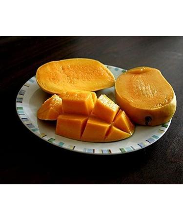 veenas Kesar Mango | 12 Units (App 4KG) |Juicy Mangoes |Fresh Mango Fruit | Natural Fruit | Summar Fruit | Indian Origin - Buy Online on GoSupps.com