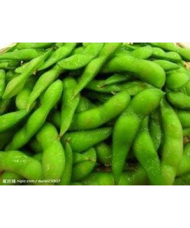 Trasporto Libero 1 Pack 20 di Edamame semi soia semi di soia Verde Verdura C032 - Buy Online on GoSupps.com