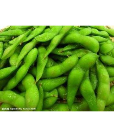 Trasporto Libero 1 Pack 20 di Edamame semi soia semi di soia Verde Verdura C032
