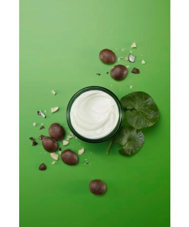 Weleda Skin Food Face Care Gift Set 3in1 Skin Care Set - Skin Food Cleansing Balm Day Cream & Night Cream for Women & Men 100% Certified Natural Organic - Buy Online on GoSupps.com