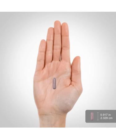 Piping Rock Magnesium Supplement for Women and Men | 240 mg | 60 Capsules | Buffered Chelate | Non-GMO Gluten Free | by Lindberg - Buy Online on GoSupps.com