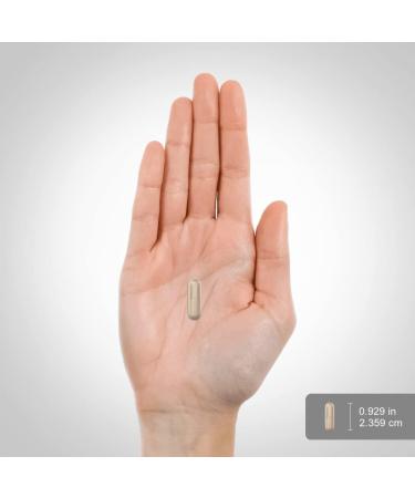 Piping Rock Reishi Mushroom Capsules 500mg - 100 Pills | Standardized Extract | Gluten Free Non-GMO Supplement - Buy Online on GoSupps.com