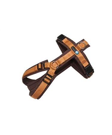 anny-x harness Fun brown amber - size M - Buy Online on GoSupps.com