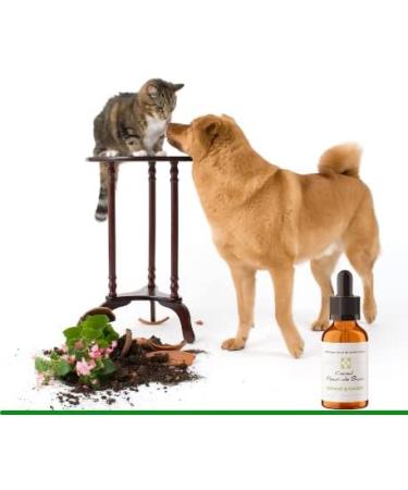 Elixir floraux Animaux Destructeurs Votre chien d truit tout vous ne savez plus comment faire pour l arr ter Optez pour une solution naturelle telle que les Fleurs de Bach  - Buy Online on GoSupps.com