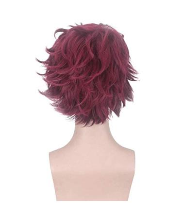 Buy Kamado Tanjirou Wig | Demon Slayer Kimetsu no Yaiba | Dark Red Heat Resistant Synthetic Hair - 30cm - Buy Online on GoSupps.com
