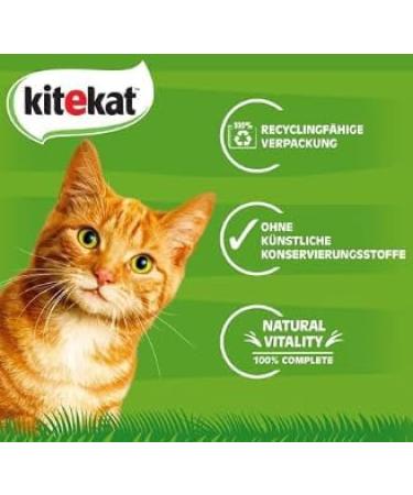 KITEKAT Pack of 24 sachets of 85g - For country picnics in sauce - Buy Online on GoSupps.com