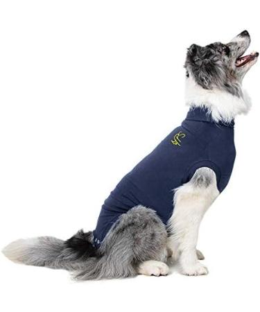 MPS Medical Pet Shirt for XX-Large Dogs - Blue 2XL - Ideal Recovery Apparel - Pack of 1 - International Shipping Available - Buy Online on GoSupps.com