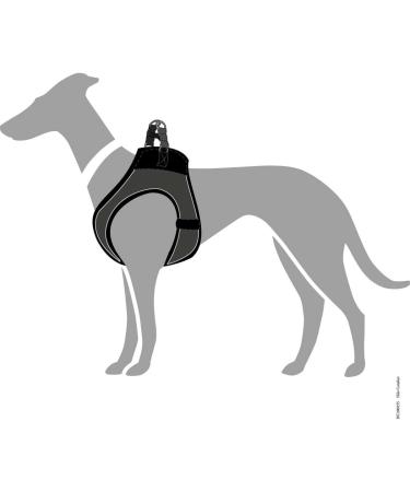 HUNTER HILO Comfort Harness for Small Dogs - Mesh & Reflective - Anthracite XS | International Shipping - Buy Online on GoSupps.com