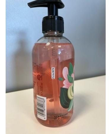  Sagrotan Sagrotan Invigorating and Floral Hygienic Soap - Moisturizing Liquid Soap with Floral Scent - 5 x 300ml Hand Soap - Buy Online on GoSupps.com