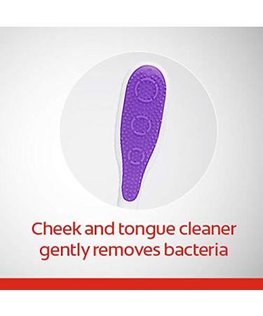 Colgate 360 Adult Toothbrush - Medium, 4 Count Pack - Buy Online on GoSupps.com