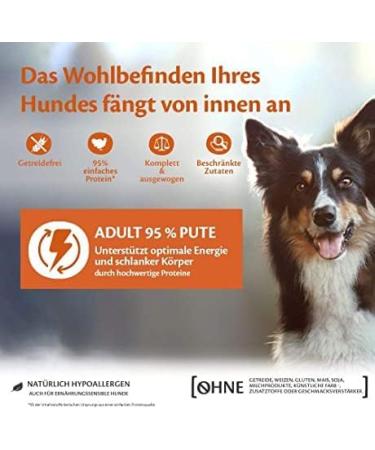 Buy Wellness Core 95% Turkey & Kale Wet Dog Food - Grain Free High Meat Content 6 x 400g Pack - Buy Online on GoSupps.com
