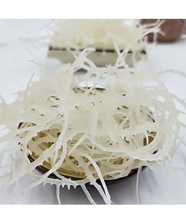 Fujian Friday Sea moss gold sun dried raw 33 lb52 oz - Buy Online on GoSupps.com