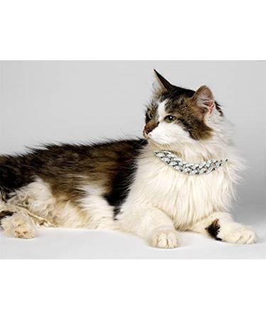 Halukakah 14MM Gold Chain Iced Out Cat Diamond Cuban Link Necklace in XS-M Size - Platinum Plated Small (8) - Free Giftbox Included - Buy Online on GoSupps.com