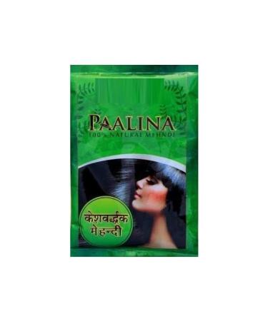 YAAJ Herbal Mehndi Paalina 100% Natural for Men and Women Pack of 2 (300g)