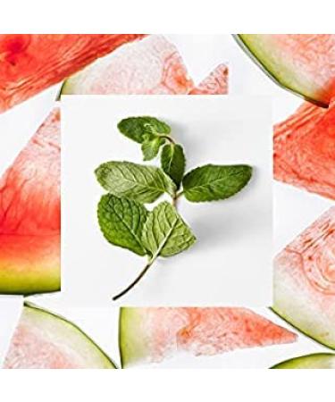 RAW SUGAR Watermelon + Fresh Mint Body Wash - Moisturizing & Refreshing Shower Gel (4pk) - Buy Online on GoSupps.com