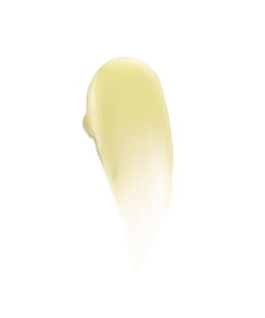Byroe Mojito Lip Mask - Nourishing Vegan Lip Treatment with Natural AHAs Hyaluronic Acid & Jojoba Oil | Exfoliates Hydrates & Plumps Lips | 0.17 FL OZ - Buy Online on GoSupps.com