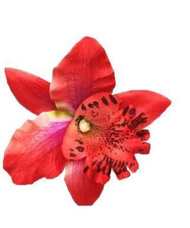 10-Piece Women Chiffon Flower Hair Clips - Perfect for Bridal Wedding Accessory and Beach Party Decor - Buy Online on GoSupps.com