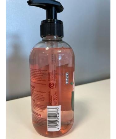  Sagrotan Sagrotan Invigorating and Floral Hygienic Soap - Moisturizing Liquid Soap with Floral Scent - 5 x 300ml Hand Soap - Buy Online on GoSupps.com