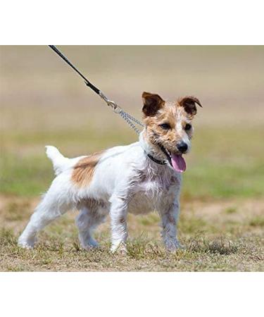 Kissral Metal Double Dog Lead Double Ended Metal Lead for Dogs Durable Dog Chain for Two Dogs 2 Way No Tangle Coupler Double Pet Dog Chain Lead Leash for Walking Training (4.0mm70cm) - Buy Online on GoSupps.com