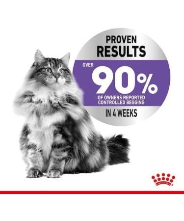 ROYAL CANIN Appetite Control Care | Pack of 3 | 3 x 400 g | Dry Food for Adult Cats | Recommended to Control Begging Behavior | Also for Castrated Cats - Buy Online on GoSupps.com