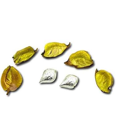 Pure Silver Nariyal (Coconut) for Pooja and Gift Purpose - Set of 2 1 Gram per Piece by Indian Collectible - Buy Online on GoSupps.com