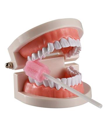 Wellgler's Disposable Oral Care Swabs - 250 Count Pink Cleaning Sponges - Buy Online on GoSupps.com