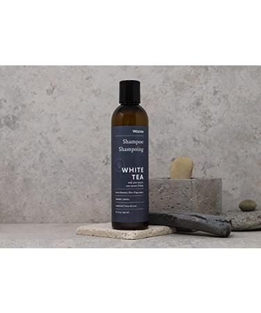 Westin White Tea Aloe Shampoo - Vitamin & Antioxidant-Packed 8oz- Ideal for All Hair Types - Signature White Tea Aloe Scent | 1-Pack - Buy Online on GoSupps.com