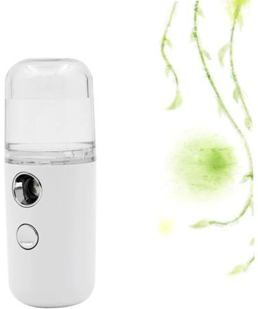 DOITOOL 1pc Mini Humidifier Skin Care Tools Portable Humidifer Skin Moistener Sprayer Eyelash Moisturizer 10cmX4cm - Buy Online on GoSupps.com