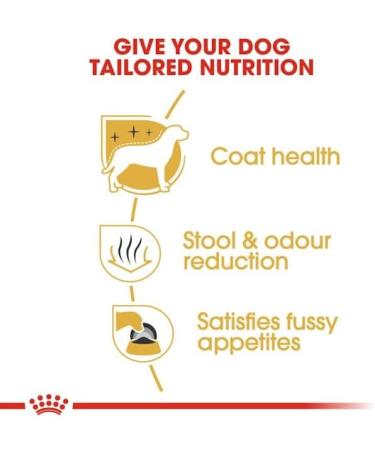 Royal Canin Maltese Adult Dog Food 0.5 kg - Buy Online on GoSupps.com