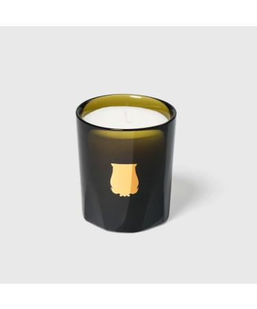 Trudon Gabriel Petite Candle 2.47 oz - Gourmand Chimney Fire