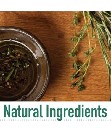 Pereg Natural Foods Organic Rosemary Leaves (1.75 oz) - Non-GMO & Kosher - Culinary Spice for Meat, Salad, and Dressings - Buy Online on GoSupps.com