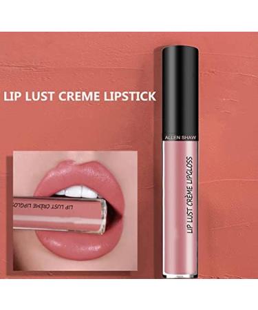  Sentechx Women's Lipstick Waterproof Long Lasting Easy to Color Smooth Gloss Lipstick 12 Color Cream Texture Lipstick Moisturizing Safe and Odorless - Buy Online on GoSupps.com