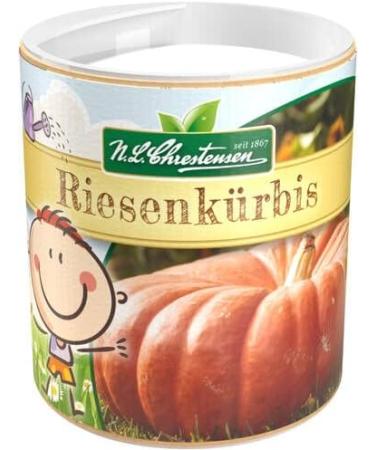 Chrestensen Garden Giant Pumpkin Seed Shaker for Kids | International Shipping Available - Buy Online on GoSupps.com