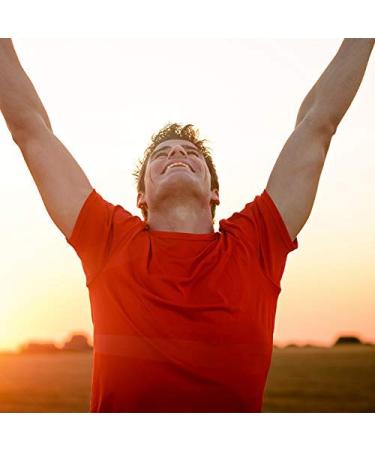 Megamax Build-Up Food 7 kg - Low Fat Protein Powder for Muscle Gain & Weight Gain | Ideal for Strengthening & Underweight | Lactose Low - Buy Online on GoSupps.com