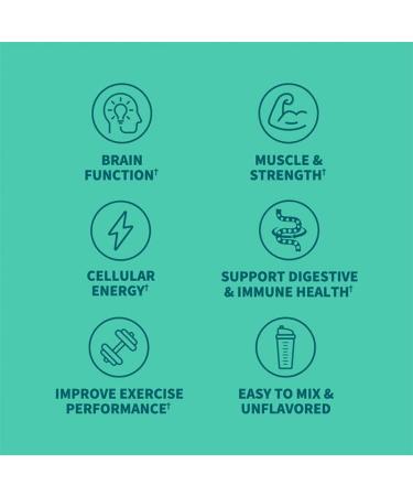 Garden of Life Creatine Monohydrate Powder - Micronized Pre Workout for Men & Women | Probiotics Muscle & Strength Boost 60 Unflavored Servings - Buy Online on GoSupps.com