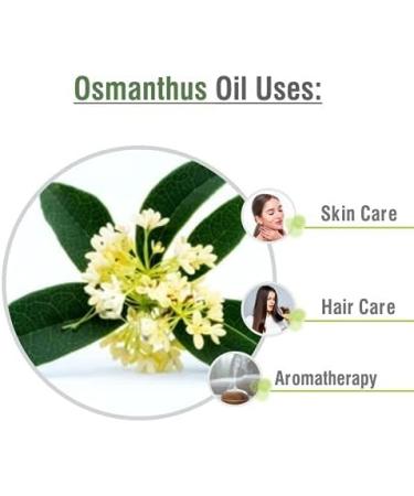Osmanthus Oil | Pure and Natural Oil | Skincare Aromatherapy Cosmetic Grade - 15ML Osmanthus 15 ml (Pack of 1) - Buy Online on GoSupps.com