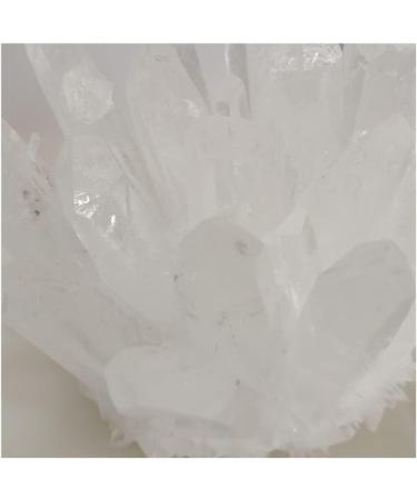 Natural Raw Quartz White Clear Crystal Cluster Stones Crystal Point Specimen Home Decoration Raw Crystals Household yuebang ERBDRGAZ (Size : 801-950g) - Buy Online on GoSupps.com