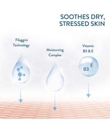 Cetaphil PRO Dry Skin Soothing Wash 10oz Body Wash (Pack of 2) - Moisturizing Formula for Sensitive Skin - Buy Online on GoSupps.com