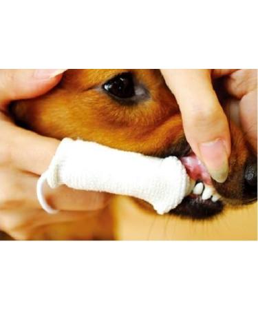 Petosan Complete Dental Care Kit for Medium Dogs (15-34 lbs) - Optimal Oral Health Solutions - Buy Online on GoSupps.com