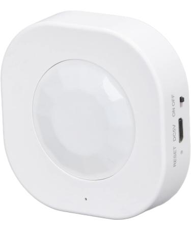 Smart Motion Sensor Square Infrared Power Supply Wifi App Mobile Phone with Graffiti for Alarm 2.4Ghz Pool Alarms - Buy Online on GoSupps.com