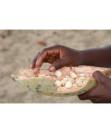 Aurum Africa Baobab Oil 50ml - No.1 Natural Cosmetics from Africa for Face Body & Hair - 4-in-1 Vegan Care Oil for Dry Skin - Buy Online on GoSupps.com