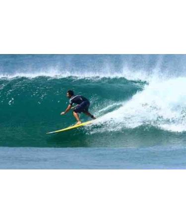 Sand Everywhere Surf Wax Comb - 2 Pack | Bamboo Wax Scraper & Remover - Buy Online on GoSupps.com